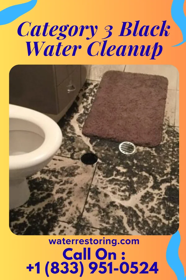 Category 3 Black Water Cleanup in Chardon, OH