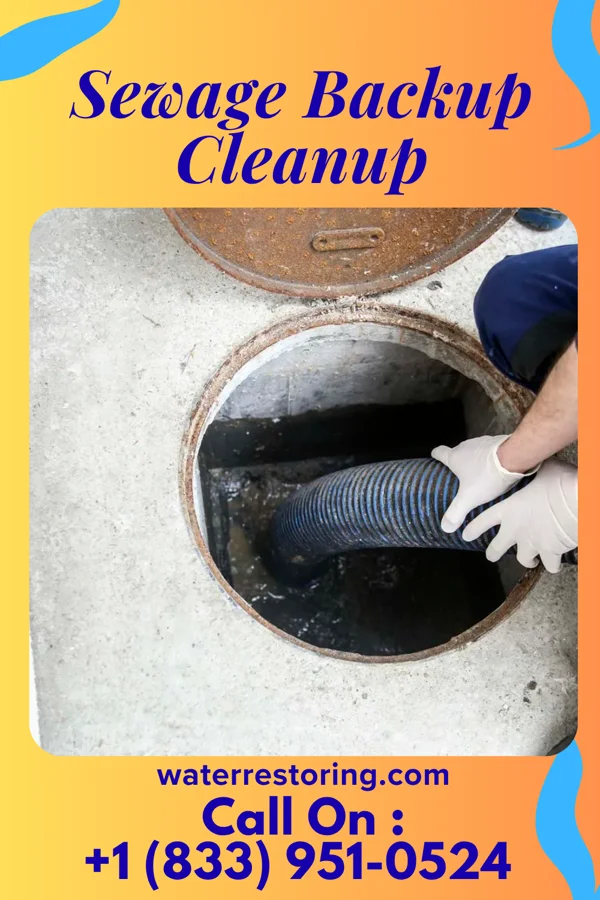 Sewage Backup Cleanup in Chardon, OH
